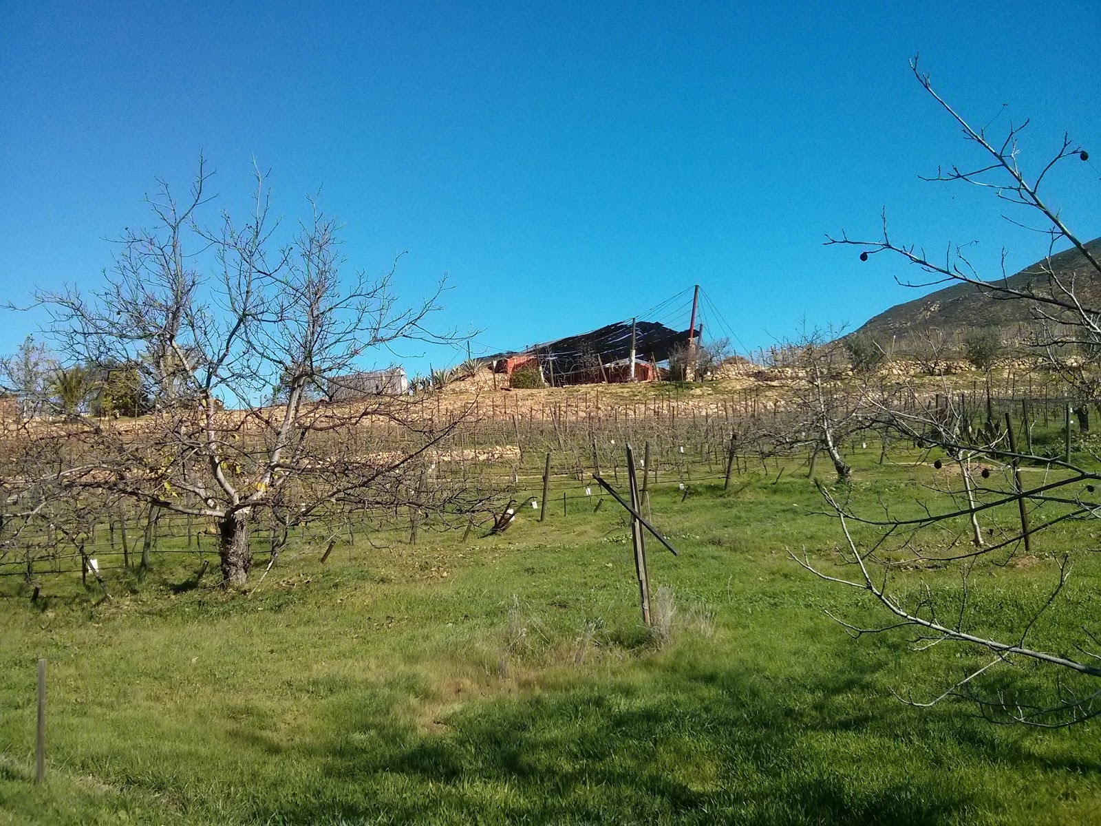 Tres Mujeres Vineyards Ensenada Wine Country Valle De Guadalupe