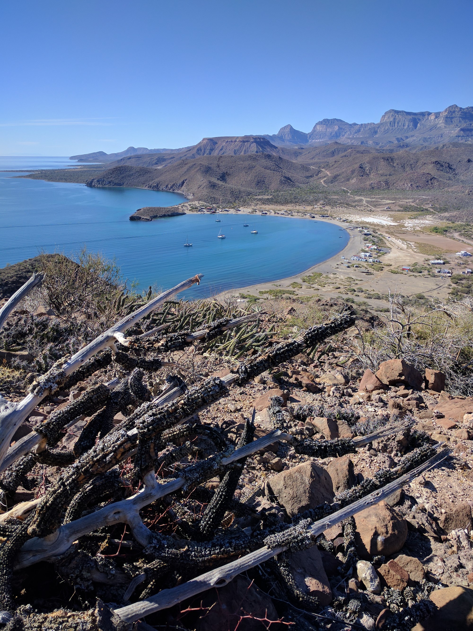 Bushwacking in San Evaristo Strikhedonia