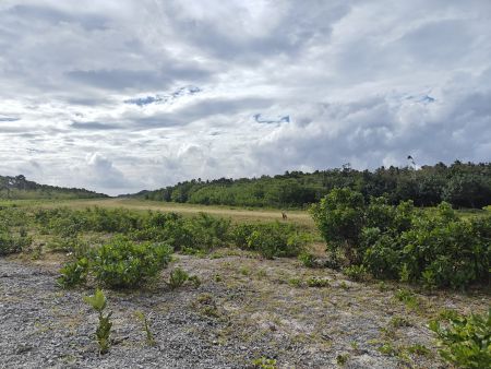 Runway, this island gets three flights a week from Vila