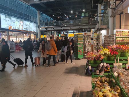 Flower bulbs anyone? And crowds