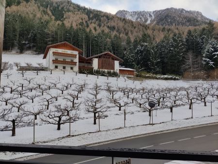 The view from my hotel room balcony of the winery across the street