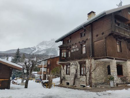 I really loved the tree/vines growing up this hotel
