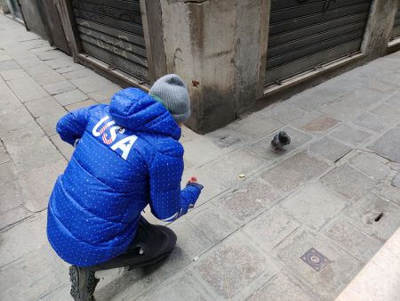 So close with this pigeon, but it was just a tiny bit too smart