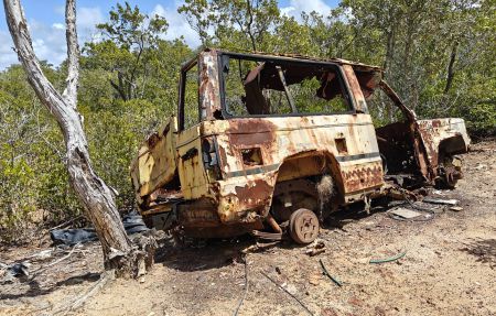 Abandoned in the woods