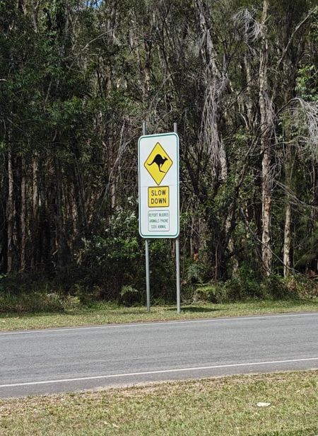 Yep. lots of them are around evidently