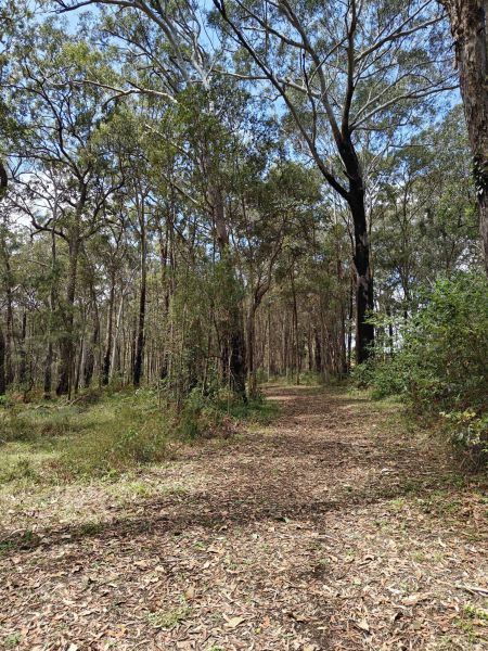 Enjoying the nice trails through the wilderness