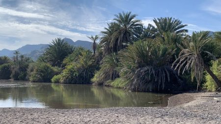 Photo Credit: Jack Gray