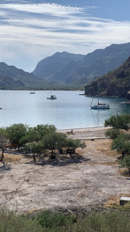 Photo Credit: Jack Gray