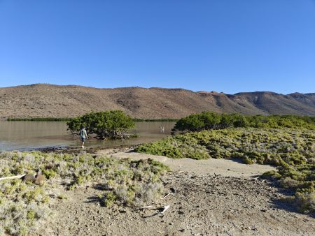 A bit of time to stretch our legs