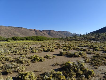 Still green from the summer rains