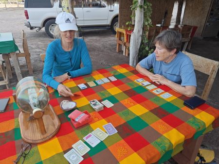 Pre-dinner card game