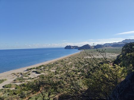 A bit of wind out there