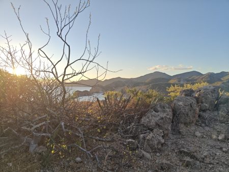 The sun warmed things up quickly