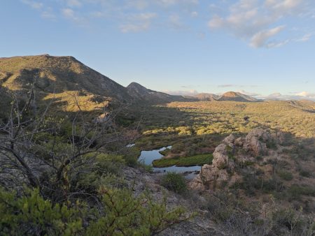 So green after the summer storms