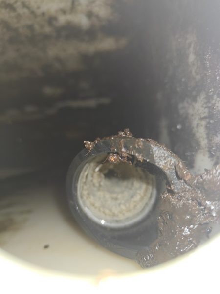 Calcified intel tube, nearly blocked (tan material)