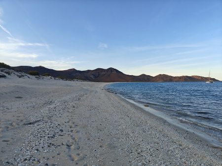 Endless beach and shells to explore