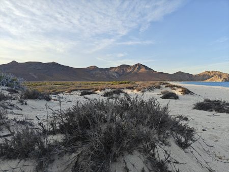 Taking time to sit and absorb this view