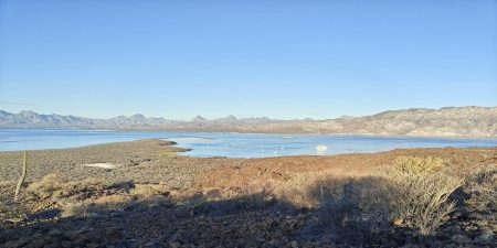 Notice any ships that are bigger than the rest?