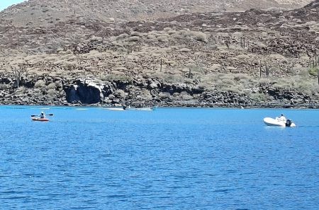 Private security force