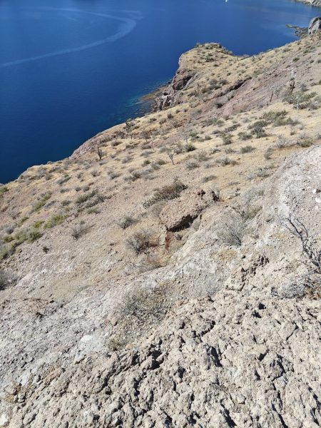 There is a way up (and down) this wall