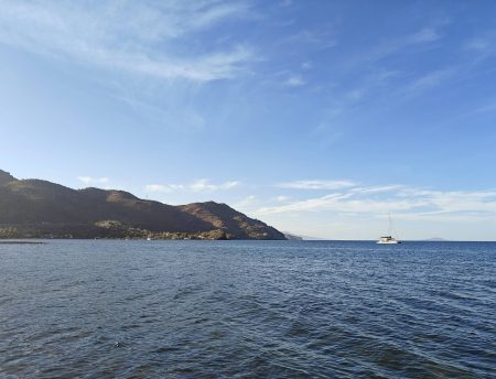 Strikhedonia resting outside of the wind
