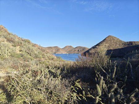 That is the Puerto Escondido mooring ball field