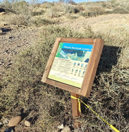 One hour they said, 10 minutes later I was already there...