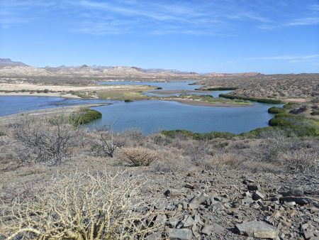 A huge estuary on the NE side of the bay