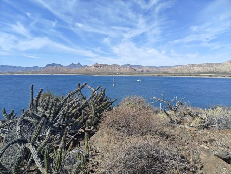Strikhedonia and Rode Trip sharing the anchorage