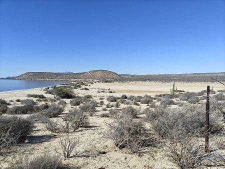 Looking down the beach