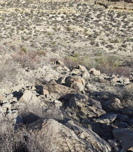 That looks like a good trail to descend, right?