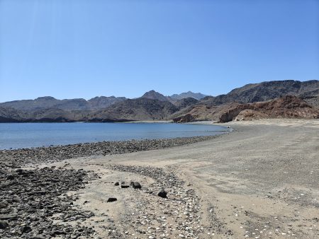 Wandering the shore